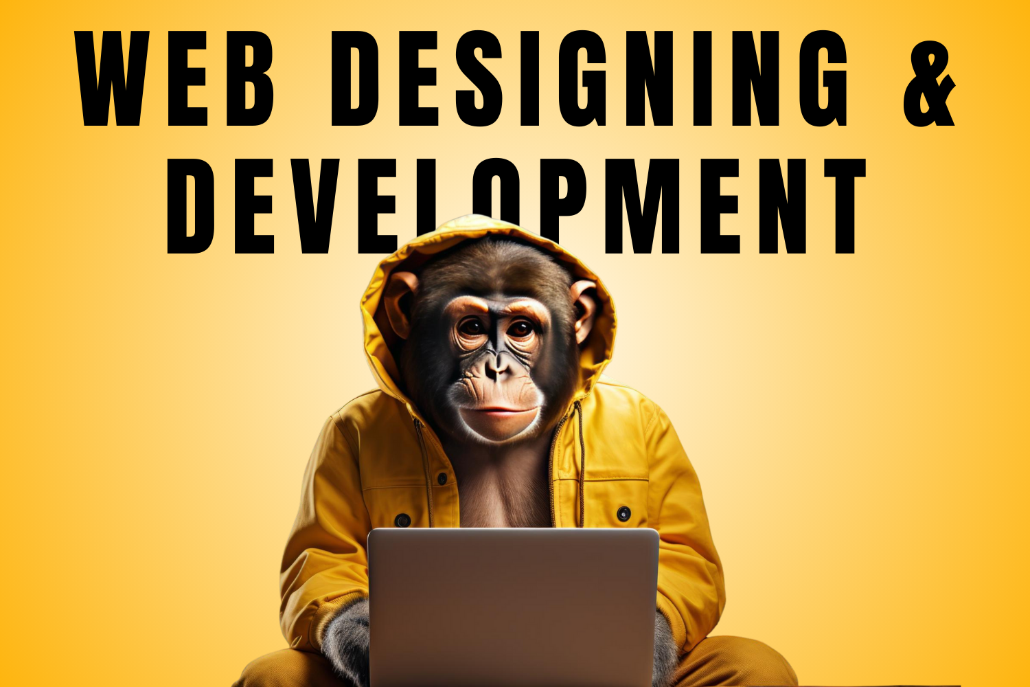 img Website/Webapp Development