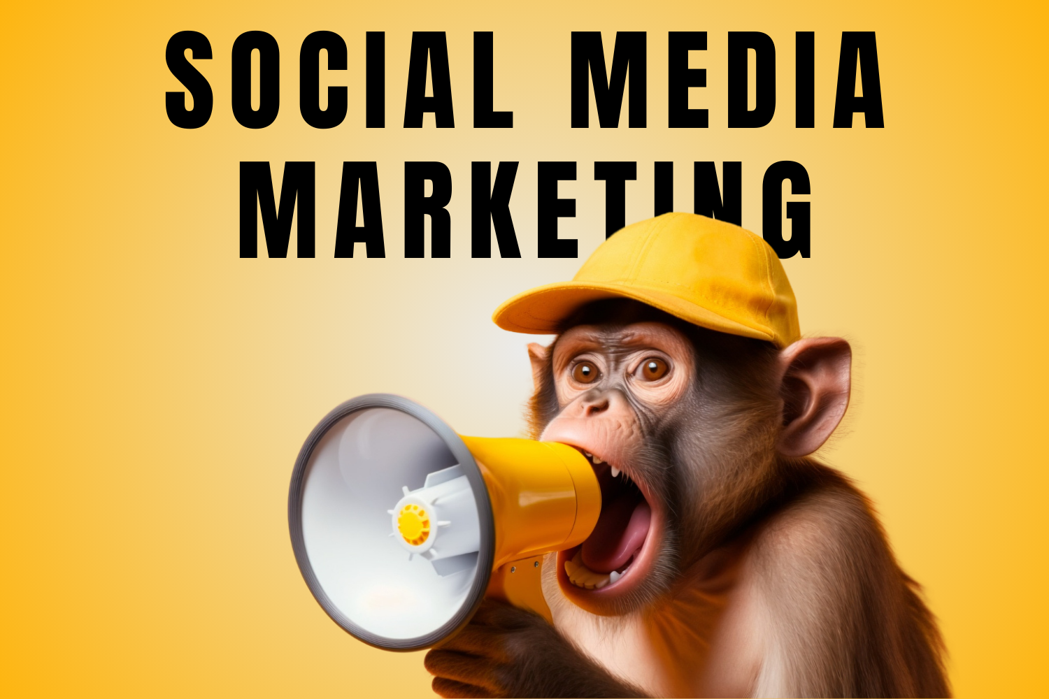img Social Media Marketing
